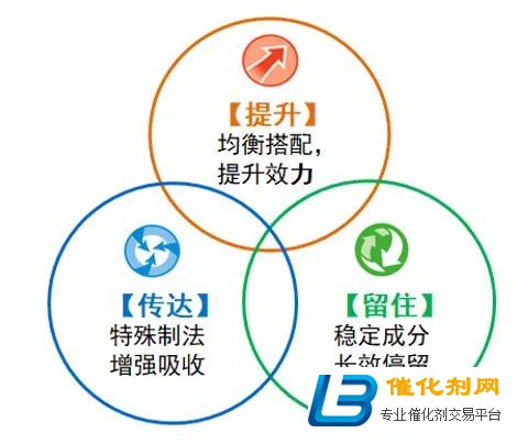正直品质，体内效率：FANCL确认参加首届中国消费品博览会