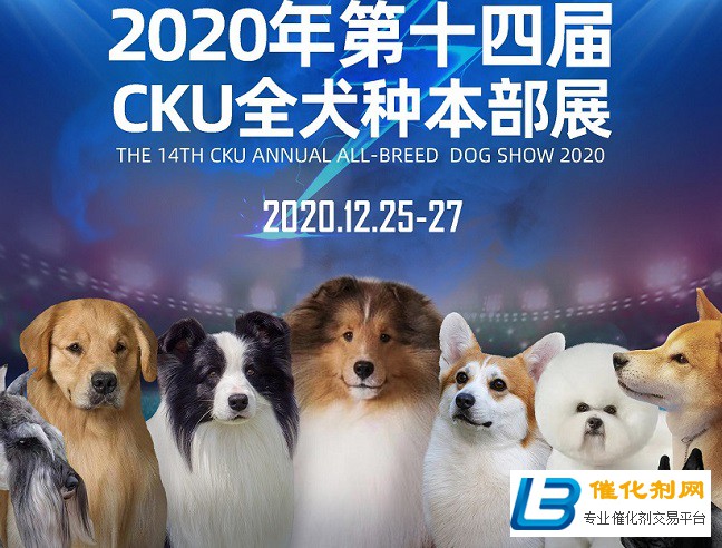 精准塑造品质宠物盛会！第六届华南宠物展即将开幕