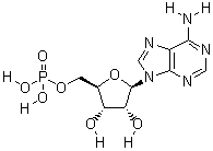 61-19-8 5'-一磷酸腺苷