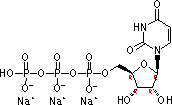 19817-92-6 Uridine-5'-三磷酸三钠盐